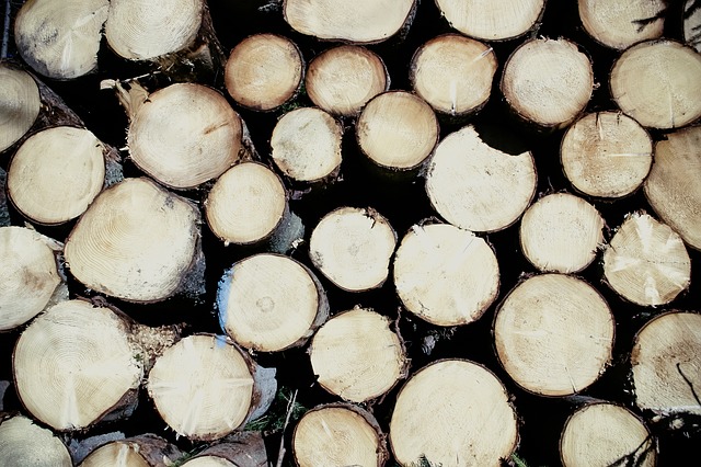 dřevo