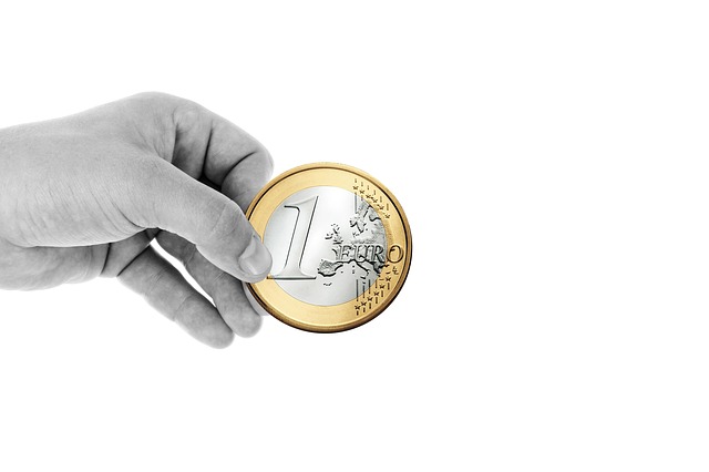 človek drží euro.jpg