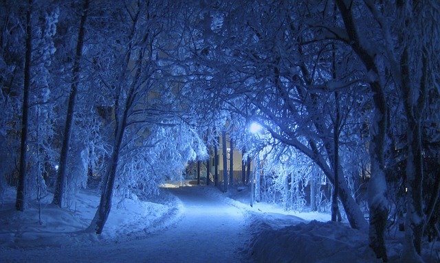 Osvetlená cesta ku domu, obklopená zasneženými stromami.jpg